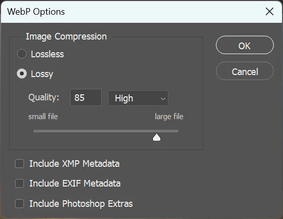 Fenêtre de sélection des options de la conversion d’image au format WebP