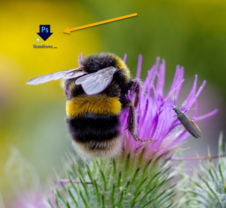 icone d’un droplet créé sur le bureau, le fond d’écran du bureau représente un abeille butinant une fleur violette