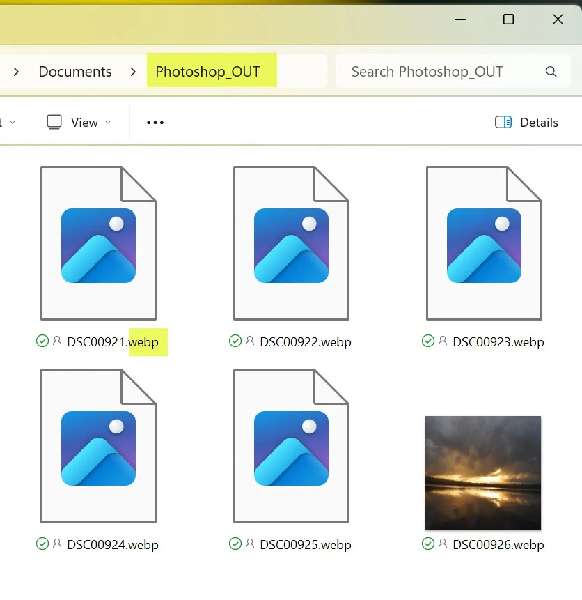Dossier Documents → Photoshop_OUT contenant 6 images au format webp