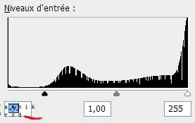 courbe de niveaux modifiée