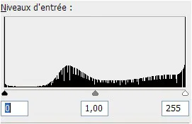 courbe de niveaux
