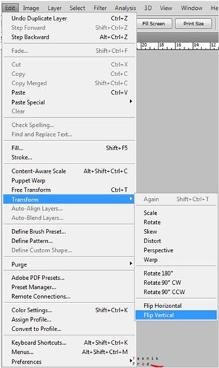 choisissez l’option "Edit > Transform > Flip Vertical". »></p>
<p>Le calque <strong>shadow (Ombre)</strong> apparaît désormais inversé verticalement, ce qui crée une base réaliste pour le reflet du sujet.</p>
<p><img decoding=