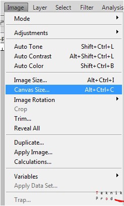 option de redimensionnement de l’image