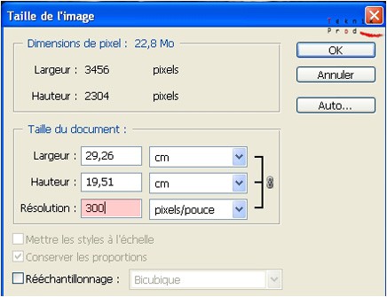 Fenêtre taille de l’image, saisie de 300 pixels/pouce dans la résolution, case ré échantillonage décochée