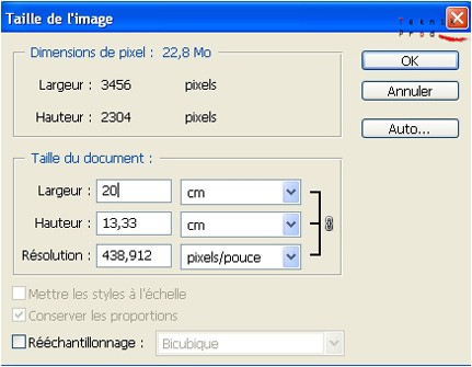 Fenêtre taile de l ímage de Photoshop, saisie de 20 cm dans la largeur de la taille du document