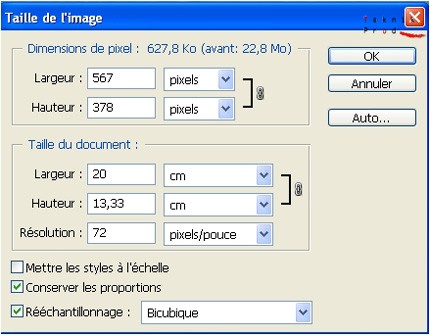 Fenêtre taile de l ímage de Photoshop, saisie de 20 cm dans la largeur de la taille du document avec la case à cocher Rééchantillonage activée