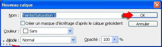 validation nouveau calque