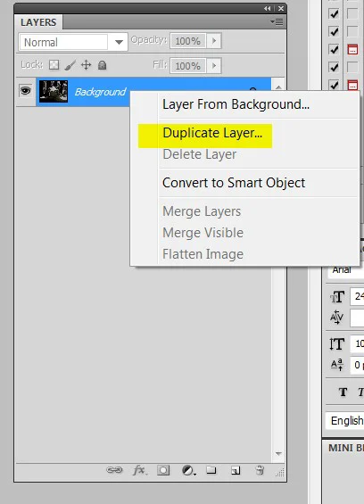menu duplicate layer
