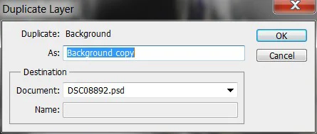 nommage duplicate layer